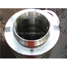 The Most Professional Flange Manufacturer